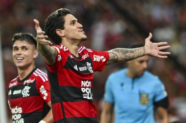 Rio, Brezilya - Kasım, 09, 2023, Maracana Stadyumu 'nda oynanan 33. turda, Flamengo ve Palmeiras arasındaki maçta Pedro oyuncusu