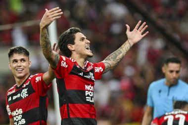 Rio, Brezilya - Kasım, 09, 2023, Maracana Stadyumu 'nda oynanan 33. turda, Flamengo ve Palmeiras arasındaki maçta Pedro oyuncusu
