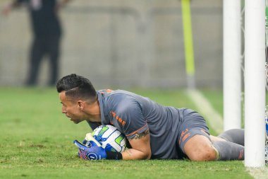 Rio, Brezilya - 11 Kasım 2023, Maracana Stadyumu 'nda oynanan 34. turda Flamengo ve Fluminense arasındaki maçta Fabio oyuncusu