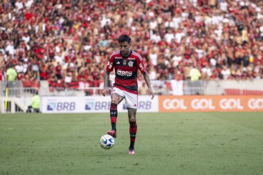Rio, Brezilya - Dezember, 03 2023, Erick Pulgar, Brezilya 'nın Maracana Stadyumu' nda oynanan 37. Raundda Flamengo ve Cuiaba arasındaki maçta