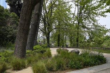Santiago, Şili, 22 Ekim 2023, Ağaçlı ve gölgeli yollu belediye parkına giriş