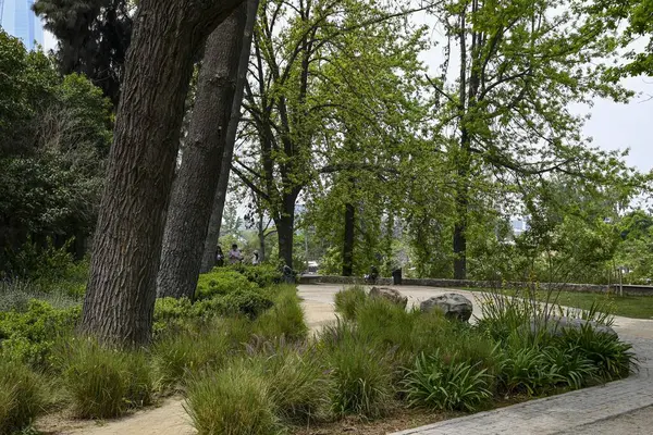 Santiago, Şili, 22 Ekim 2023, Ağaçlı ve gölgeli yollu belediye parkına giriş