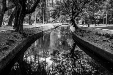 Rio, Brezilya - Nisan 07, 2023, Quinta da Boa Vista, Sao Cristovao Imperial Quarter 'da bulunan bir belediye parkı.