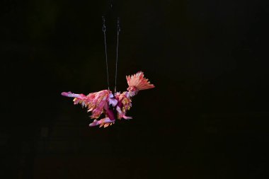 Santiago, Şili - 20 Ekim 2023, 2023 Pan Amerikan Oyunlarının açılış töreni Julio Mariinez Pradanos Ulusal Stadyumu 'nda