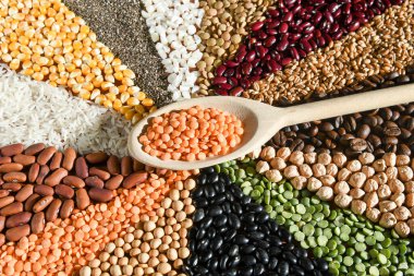 Tahta kaşık, çeşitli tohumlarda çiğ kırmızı mercimek.