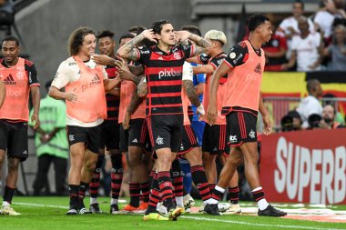 Rio, Brezilya - 23 Haziran 2024: Fluminense ile Flamengo arasındaki maçta Maracana Stadyumu 'nda oynanan 11.