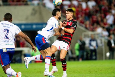 Rio, Brezilya - 11 Temmuz 2024: Maracana Stadyumu 'nda oynanan 16' ncı turda Flamengo ve Fortaleza arasında oynanan maçta Luiz Araujo oyuncusu