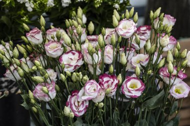 Bir sokak pazarında narin bir çiçek aranjmanı