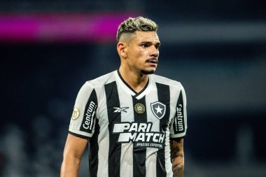 Rio, Brezilya - 27 Temmuz 2024: Tiquinho Soares Brezilya Şampiyonası 'nda Botafogo ile Cruzeiro arasında oynanan maçta Nilton Santos Stadyumu' nda oynanan 20. tur