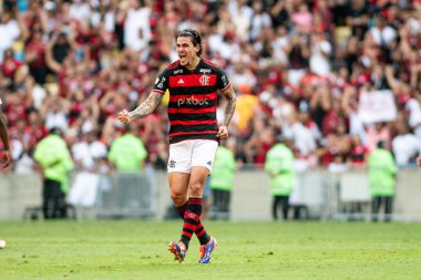 Rio, Brezilya - 28 Temmuz 2024: Maracana Stadyumu 20. turunda Brezilya Şampiyonası 'nda Flamengo x Atletico-GO arasında oynanan maçta Pedro oyuncusu