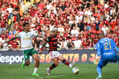 Rio, Brezilya - 11 Ağustos 2024: De Arrascaeta, Brezilya Şampiyonası 'nda Flamengo x Palmeiras arasında oynanan maçta, Maracana Stadyumu' nda 22.