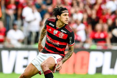 Rio, Brezilya - 11 Ağustos 2024: Brezilya Maracana Stadyumu 'nda oynanan 22' nci turda Flamengo x Palmeiras arasındaki maçta Pedro oyuncusu