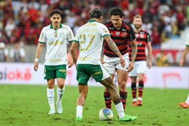 Rio, Brezilya - 11 Ağustos 2024: Brezilya Maracana Stadyumu 'nda oynanan 22' nci turda Flamengo x Palmeiras arasındaki maçta Pedro oyuncusu