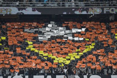 Rio, Brezilya - 14 Ağustos 2024, Botafogo (BRA) - Palmeiras (BRA) maçı sırasında Nilton Santos Stadyumu 'nda Libertadores Şampiyonası