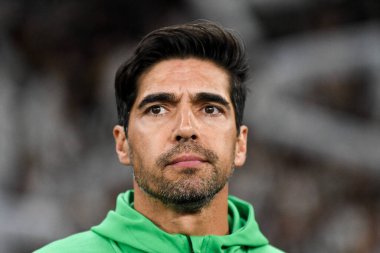 Rio, Brezilya - 14 Ağustos 2024, Abel Ferreira Botafogo (BRA) - Palmeiras (BRA) maçı sırasında Nilton Santos Stadyumu 'nda Libertadores Şampiyonası