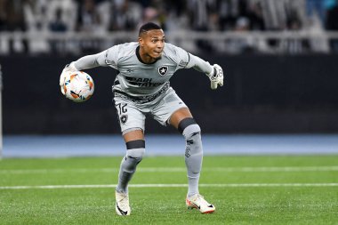 Rio, Brezilya - 14 Ağustos 2024, John Botafogo (BRA) - Palmeiras (BRA) maçı sırasında Nilton Santos Stadyumu 'nda Libertadores Şampiyonası