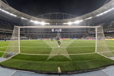 Rio, Brezilya - 14 Ağustos 2024, Botafogo (BRA) - Palmeiras (BRA) maçı sırasında Nilton Santos Stadyumu 'nda Libertadores Şampiyonası