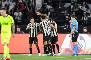 Rio, Brezilya - 14 Ağustos 2024, Luiz Henrique Botafogo (BRA) - Palmeiras (BRA) maçı sırasında Nilton Santos Stadyumu 'nda Libertadores Şampiyonası