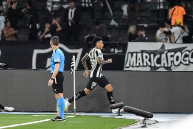 Rio, Brezilya - 14 Ağustos 2024, Botafogo (BRA) maçında Igor Jesus - Palmeiras (BRA) - Nilton Santos Stadyumu 'nda Libertadores Şampiyonası
