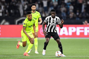 Rio, Brezilya - 14 Ağustos 2024, Luiz Henrique Botafogo (BRA) - Palmeiras (BRA) maçı sırasında Nilton Santos Stadyumu 'nda Libertadores Şampiyonası
