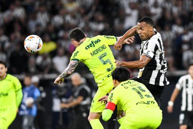 Rio, Brezilya - 14 Ağustos 2024, Botafogo (BRA) - Palmeiras (BRA) maçı sırasında Nilton Santos Stadyumu 'nda Libertadores Şampiyonası