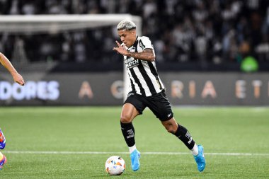 Rio, Brezilya - 14 Ağustos 2024, Botafogo (BRA) - Palmeiras (BRA) maçı sırasında Nilton Santos Stadyumu 'nda Libertadores Şampiyonası