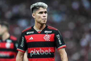 Rio, Brezilya - 12 Eylül 2024: Luiz Araujo Brezilya Kupası 'nda Flamengo x Bahia ile oynanan maçta Maracana Stadyumu' nda çeyrek final maçı