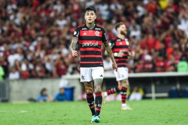 Rio, Brezilya - 26 Ekim 2024: Flamengo x Juventude ile Brezilya Şampiyonası arasında oynanan maçta Erick Pulgar oyuncusu, Maracana Stadyumu 'nda 31.