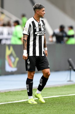 Rio, Brezilya, 8 Aralık 2024 - Botafogo ile Sao Paulo arasında oynanan maçta Nilton Santos Stadyumu 'nda oynanan 36.