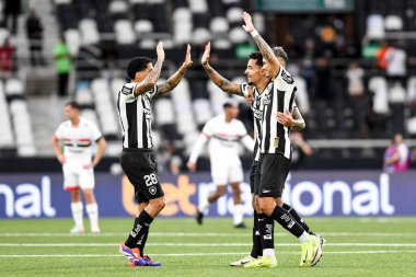 Rio, Brezilya, 8 Aralık 2024 - oyuncular Brezilya Şampiyonası 'nda Botafogo-Sao Paulo maçında Nilton Santos Stadyumu' nda 36.