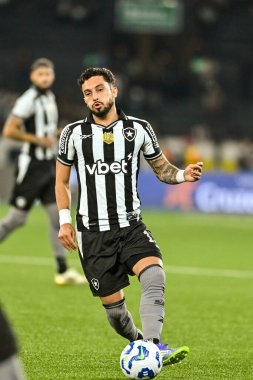 Rio, Brezilya - 16 Temmuz 2025: Botafogo x Vitoria ile Nilton Santos Stadyumu 'nda oynanan maçta Alexander Barboza oyuncusu