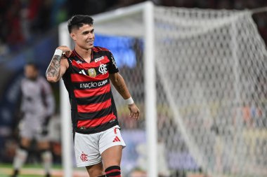 Rio, Brezilya - 24 Ağustos 2025: Maracana Stadyumu 'ndaki Brezilya Şampiyonası' nın 21. raundunda Flamengo x Vitoria arasındaki maçta Luiz Araujo oyuncusu
