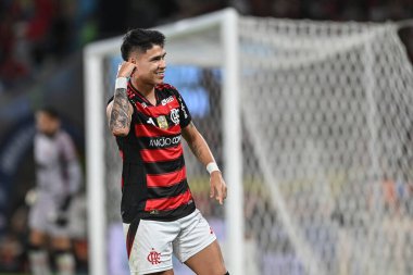 Rio, Brezilya - 24 Ağustos 2025: Maracana Stadyumu 'ndaki Brezilya Şampiyonası' nın 21. raundunda Flamengo x Vitoria arasındaki maçta Luiz Araujo oyuncusu