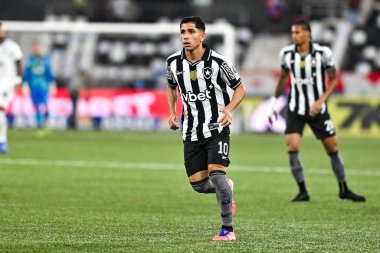 Rio, Brezilya - Ekim 01, 2025: Nilton Santos Stadyumu 'nda düzenlenen Botafogo x Bahia maçında Brezilya Şampiyonası' nın 26.