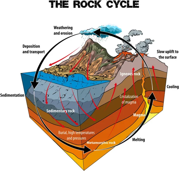 Kaya Döngüsü Vektör Çizimi. Erozyon. Bilgisel.