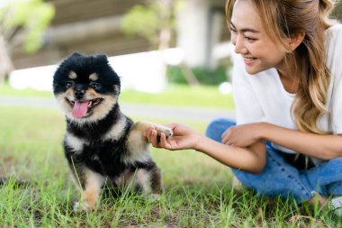 Happy young asian woman playing and sitting on grass in the park with her dog. Pet lover concept clipart