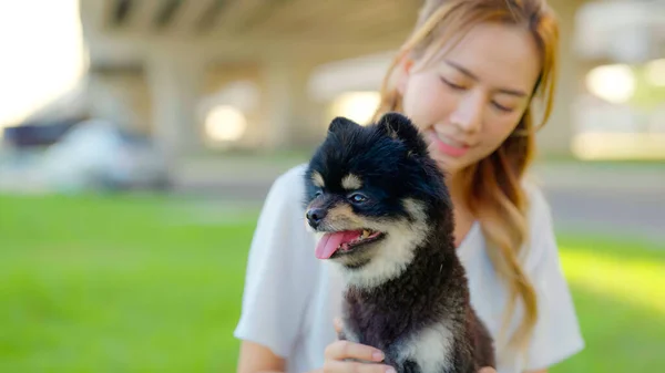 Happy Young Asian Woman Playing Sitting Grass Park Her Dog — ストック写真