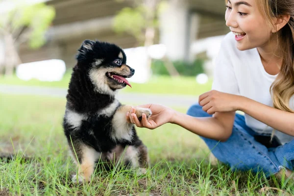 快乐的年轻亚洲女人和她的狗在公园里玩耍 坐在草地上 宠物情人的概念 — 图库照片