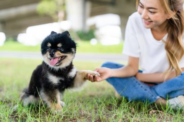 Parktaki çimlerde köpeğiyle oynayan ve oturan mutlu Asyalı genç kadın. Hayvan sever kavramı