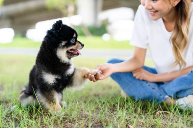 Parktaki çimlerde köpeğiyle oynayan ve oturan mutlu Asyalı genç kadın. Hayvan sever kavramı