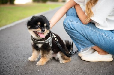 Parkta köpeğiyle oynayan ve yolda oturan mutlu Asyalı genç bir kadın. Hayvan sever kavramı