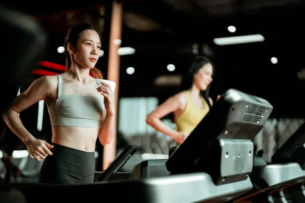 在跑步机上跑步的年轻亚洲女子 健美运动 免版税图库图片