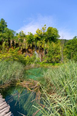Plitvice Lakes Ulusal Parkı, doğanın bir mucizesi, turkuaz suyu olan güzel bir manzara, Hırvatistan