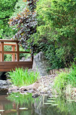 Wroclaw, Polonya - 13 Haziran 2017: Japon Bahçesi, egzotik bitkiler. Japon bahçesi 1909-1913 yılları arasında Szczytnicki Parkı 'nda kuruldu.