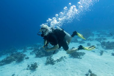 Single scuba diver with the equipment over colorful coral reef on the bottom of tropical sea, underwater landcape