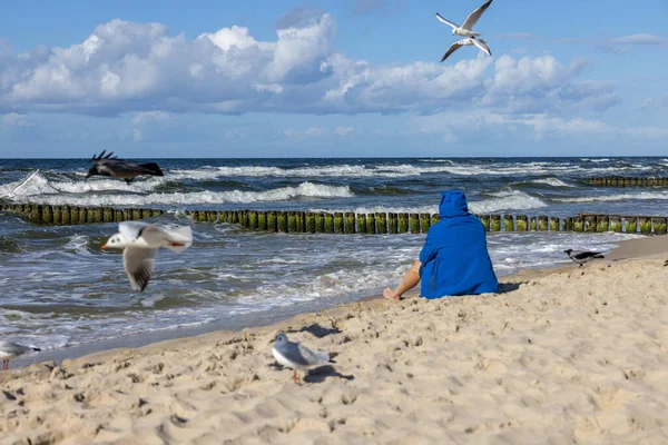 バルト海の砂浜に座って青いジャケットを着た男 頭の上を飛んでいるカモメ 美しい秋の晴れた日 ポーランドのMiedzyzdroje — ストック写真