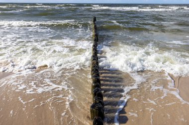 Güneşli bir günde Baltık Denizi 'nin köpüklü suyunda yeşil yosunlu ahşap kırma suyu, Miedzyzdroje, Wolin Adası, Polonya