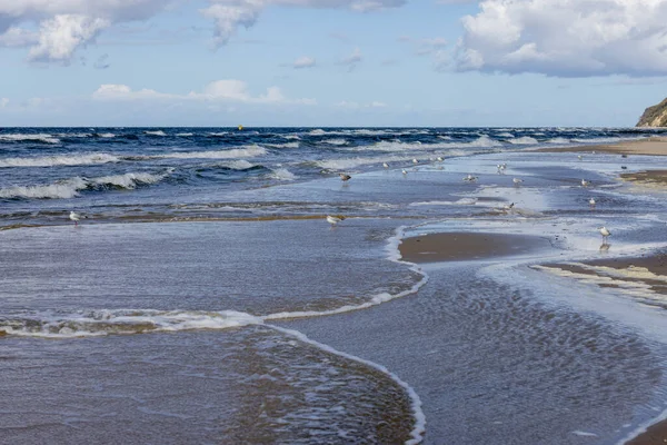 美しい海辺の風景 空のビーチ バルト海の泡立つ水 砂の上を歩くカモメ Wyspa Wolin Miedzyzdroje ポーランド — ストック写真