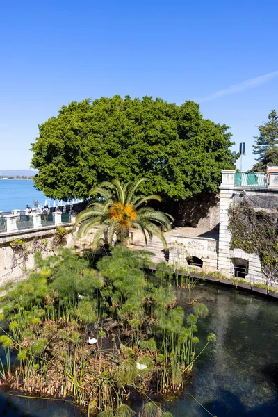 stock image Syracuse, Sicily, Italy - April 29, 2023: Fountain of Arethusa on Ortygia island, a natural spring of freshwater in the place where the nymph Arethusa hid according to Greek mythology