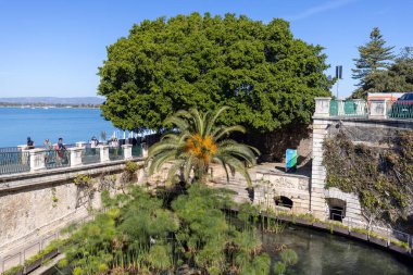 Syracuse, Sicilya, İtalya - 29 Nisan 2023: Ortygia adasında Arethusa Çeşmesi, Yunan mitolojisine göre nemli Arethusa 'nın saklandığı yerde doğal bir tatlı su kaynağı.